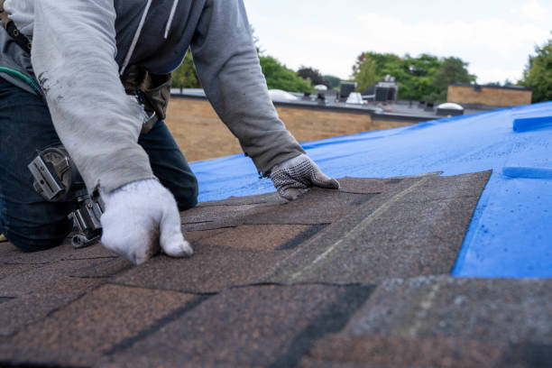 Best Metal Roofing Contractor  in Energy, IL