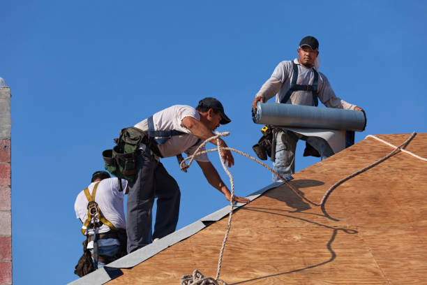 Best Storm Damage Roof Repair  in Energy, IL