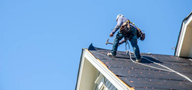 Best Storm Damage Roof Repair  in Energy, IL